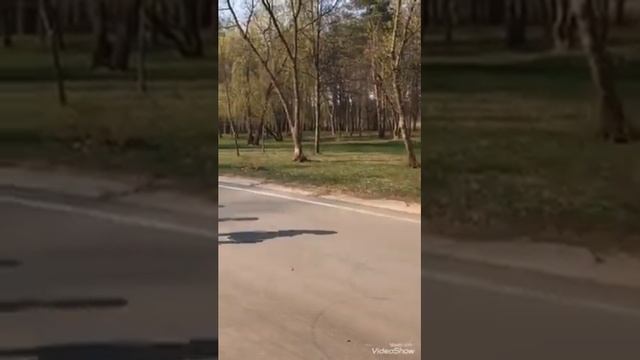 Разминка сухая 2019 смотреть онлайн
