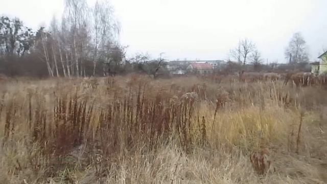 Продам участки 8соток г.Житомир. 14500$ смотреть онлайн