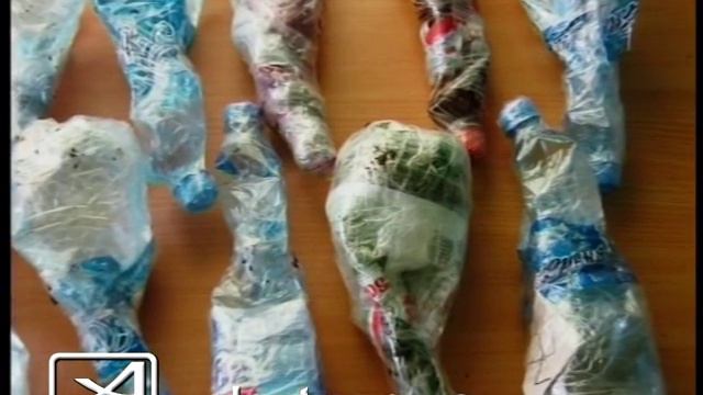 Передача в колонию смотреть онлайн