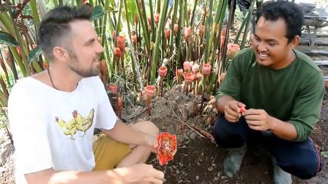 Discovering secret superfoods in the garden смотреть онлайн