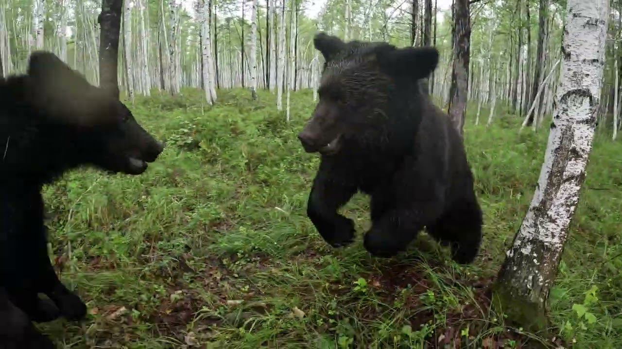 Сегодня вышло не по плану. смотреть онлайн