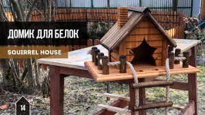 Домик для белок  / Squirrel house