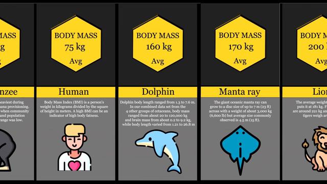 Body Weight смотреть онлайн