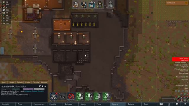 ATAK DZIKICH WALASZKÓW - Rimworld: Biotech #11 смотреть онлайн