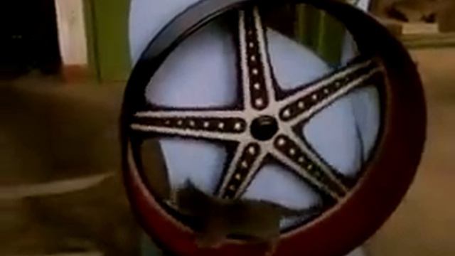 Беговое колесо для домашних животных"Крутюся" смотреть онлайн