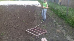 Боронование картошки ручной бороной в одиночку. Легкая борона для дачного участка.