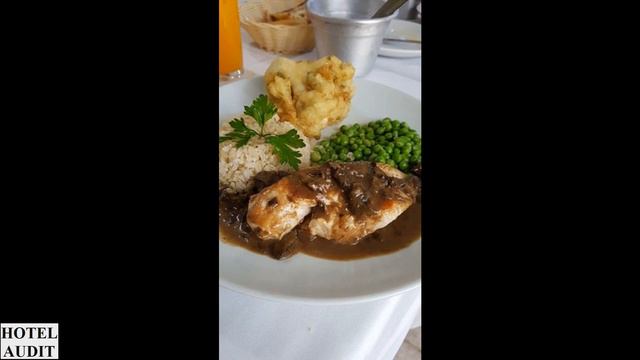 Обзор отеля Обзор Страны Бразилия сан паулу Trilha do Trigo 1 Hotel Audit Отель Аудит смотреть онлайн