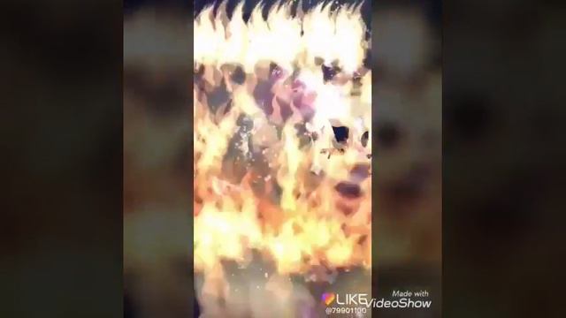 Видео Like 😍 В этом видео все из приложения Like 🌹 смотреть онлайн