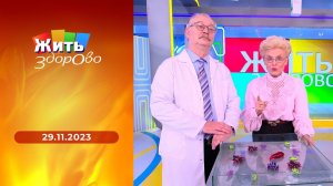 Жить здорово! Выпуск от 30.11.2023