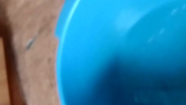 как можно быстро растопить лёд смотреть онлайн