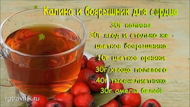 Калина и боярышник смотреть онлайн