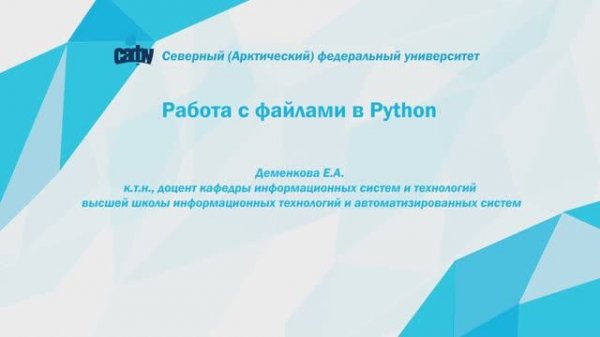 Работа с файлами Python