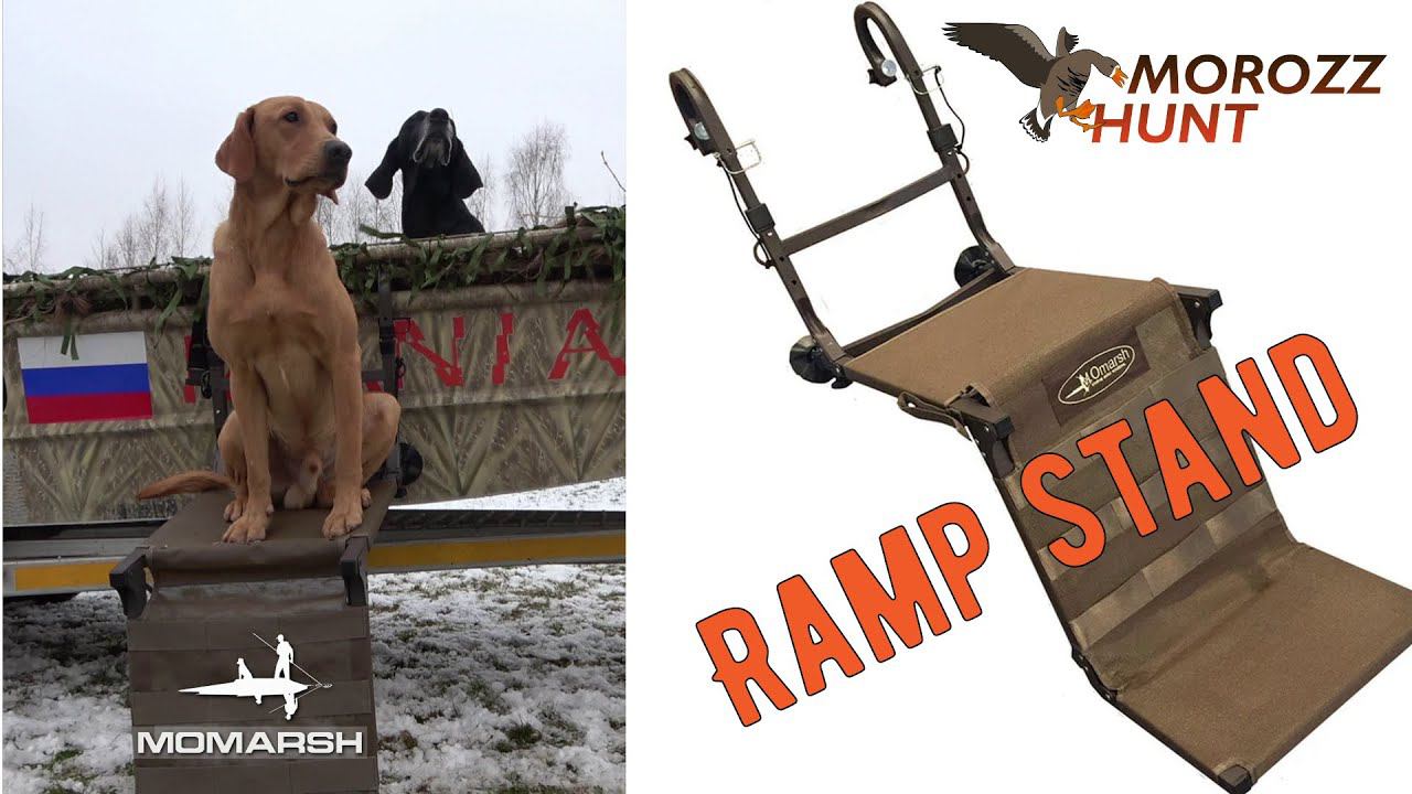 Обзор сходни-стенда для собак Momarsh RAMP STAND.