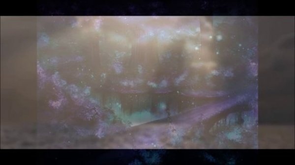 Dima Dark-Forest 24 видео ролик (7.04.2023)