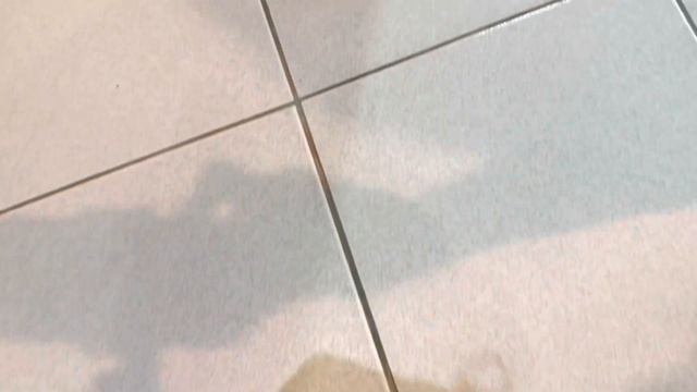 NIKE Air Zoom Terra Kiger 8 | Trail Running Shoes смотреть онлайн