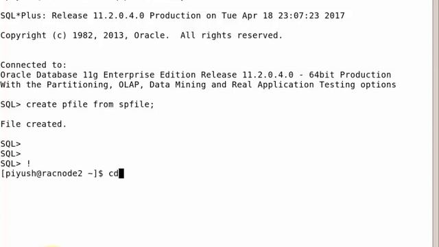 How to Change Oracle Database Name Manually without using Nid Utility смотреть онлайн