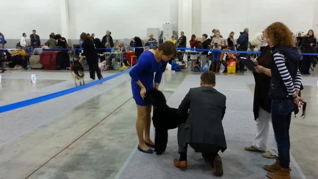 Emerei Alpen Gold Russia 2013 смотреть онлайн