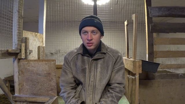 КОРМЛЕНИЕ КОЗЛЯТ ЗЦМ мой опыт / ПЕРЕЕЗД В ДЕРЕВНЮ смотреть онлайн