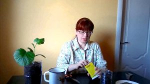 Тыква голосеменная Ольга. Сажаем через рассаду. Супер урожай.