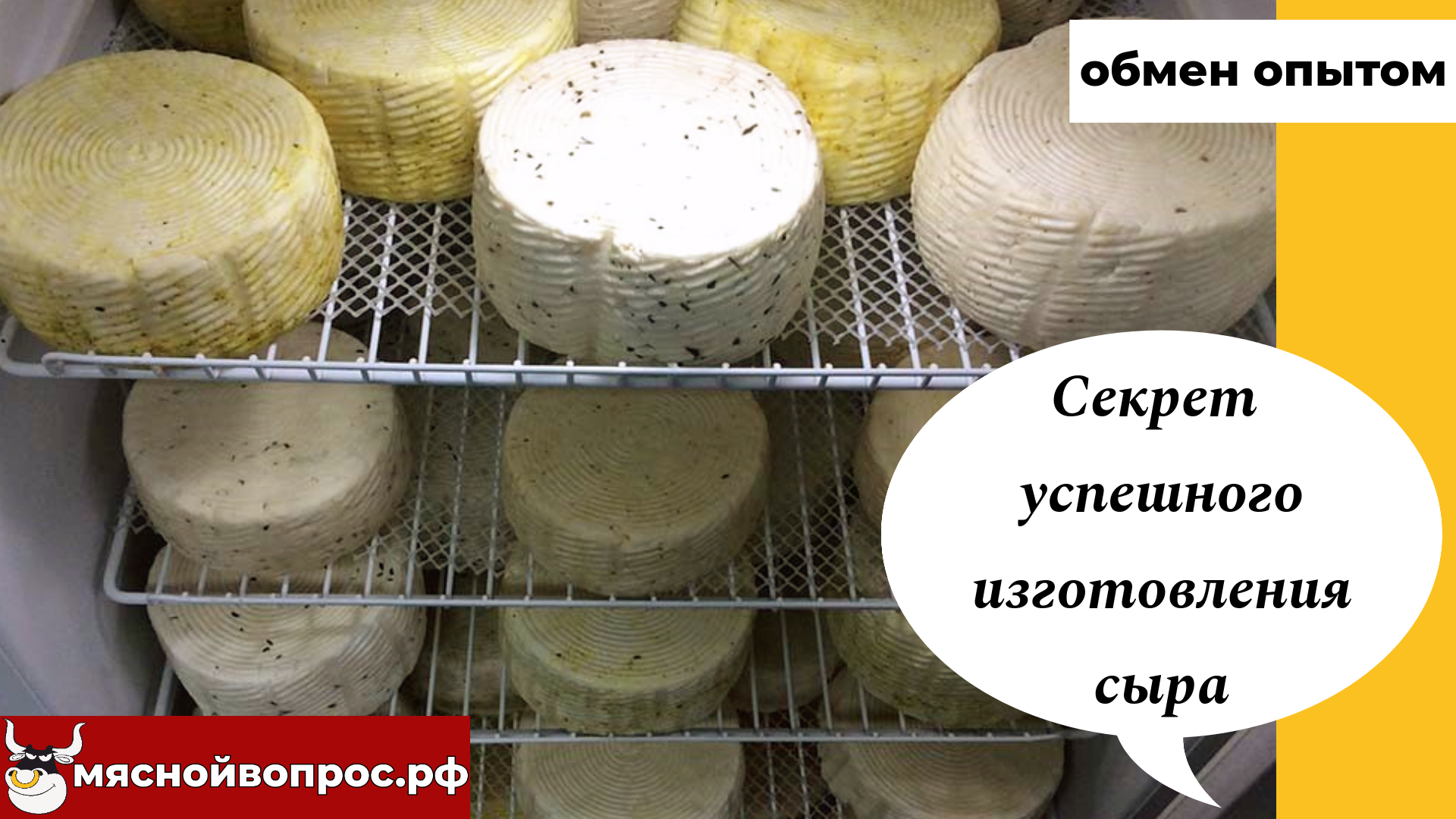мяснойвопрос.рф - ОБМЕН ОПЫТОМ. Секрет успешного изготовления сыра смотреть онлайн