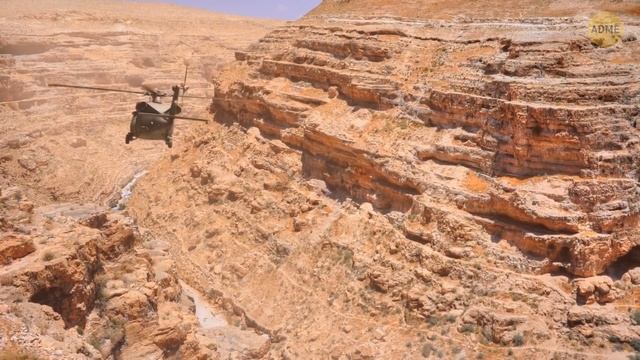 В Неваде нашли крупнейшего доисторического монстра, который обитал в океане смотреть онлайн