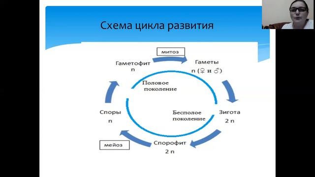 Тема: «Циклы развития растений»Автор: Баачева Райганат Магомедовна, ГБОУ РД «РМЛИ ДОД» смотреть онлайн