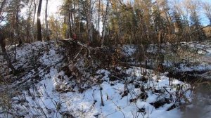 Эндуро соревнования Новосибирск 2022 (Пашино), Avantis 250