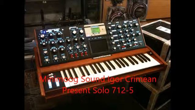 Minimoog Sound Igor Crimean Present Solo 712 5 смотреть онлайн