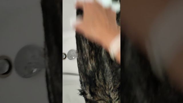 Банный день