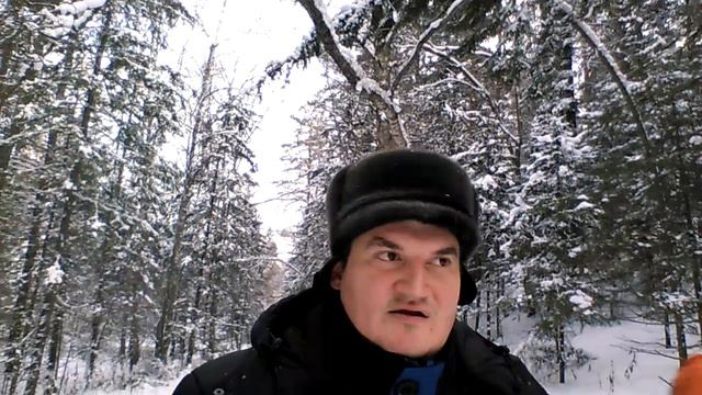 Прогулка воскресная в заповедник красноярских столбов смотреть онлайн