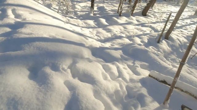 На мотоциклах по лесу зимой в 26 мороза прокладываем дорогу смотреть онлайн