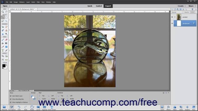 Learn How To Show And Hide The Ruler And Grid In Adobe Photoshop Elements 2023: A Training Tutorial