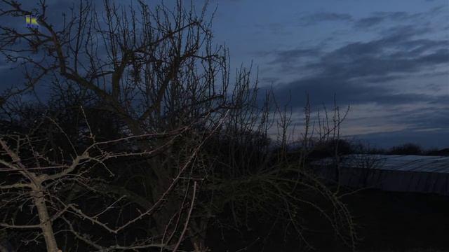 Canon Powershot SX530HS Обзор + ТЕСТ ночной съемки смотреть онлайн