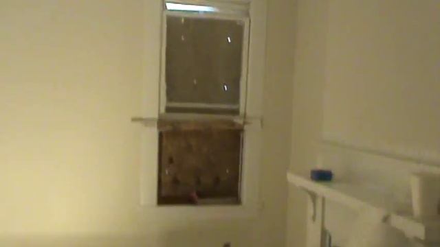 491 Dargan Place AMAZING HandyANDY Renovated Bungalow $1,000 On 1st & $200 On 15th