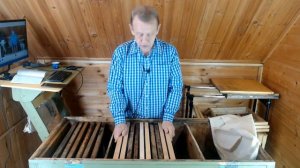 Начинающий пчеловод. Перевод пчёл с 300 на 460 рамку в течении 30 дней в ульях-лежаках Якимова
