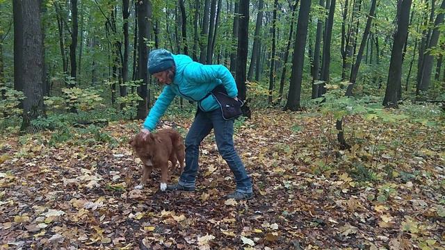 Трюк "Восьмерка", 4 вариации смотреть онлайн