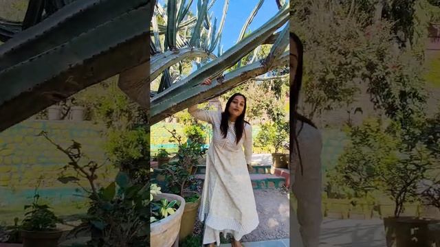 The Largest Cactus ( Euphorbia Ammak) I Have Ever Seen #pw  #euphorbia #cactus #neet2023 #botany