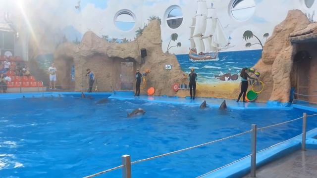 Дельфинарий Немо New Одесса смотреть онлайн