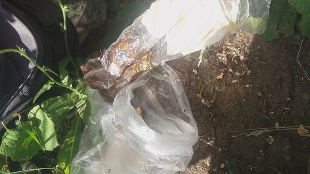 Рыбалка 02072022 смотреть онлайн
