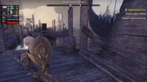 The Elder Scrolls Online / Skyrim-Online или просто хорошая MMORPG