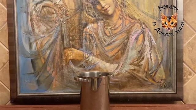 У БЕНГАЛОВ ШВЕДСКИЙ СТОЛ