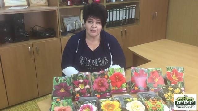 Лилейники: обзор сортов, посадка и уход смотреть онлайн