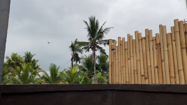 VOLVEMOS a BALI 🌴 смотреть онлайн