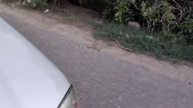Sirf 40 Hajar Me Ghar le Jao Hyundai Santro Second Hand || Hyundai Santro Second Hand Car смотреть онлайн