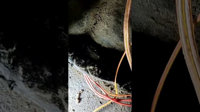 не работает кнопка стеклоподъёмник пассажирской двери ВАЗ 2110 2111 2112 2114 2115 приора калина смотреть онлайн