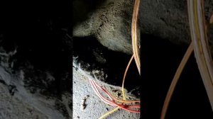 не работает кнопка стеклоподъёмник пассажирской двери ВАЗ 2110 2111 2112 2114 2115 приора калина