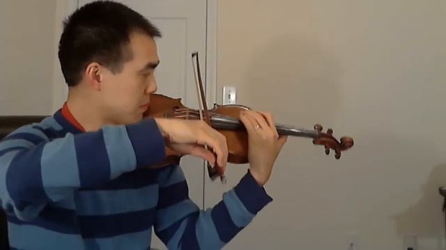 Harry Potter Hedwig Theme On Violin