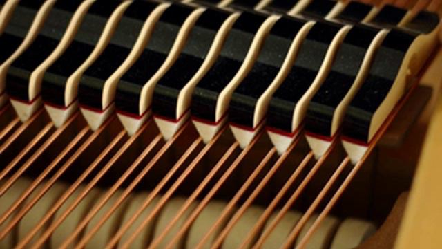 Chopin - Nocturne n°13, op.48 n°1 смотреть онлайн