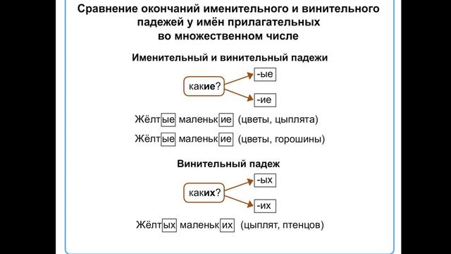 склонение имен прилагательных женского рода и множественного числа смотреть онлайн