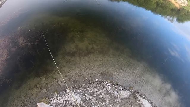 BLUEGILL that are BIGGER THAN the FRYING PAN!! смотреть онлайн